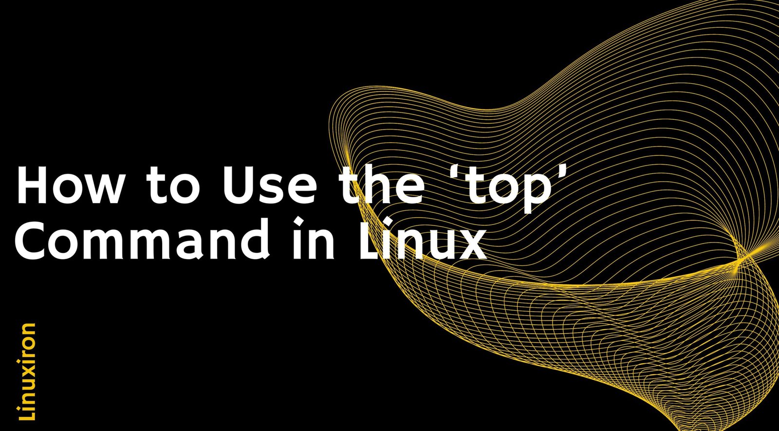 How to Use the ‘top’ Command in Linux - Linux Iron