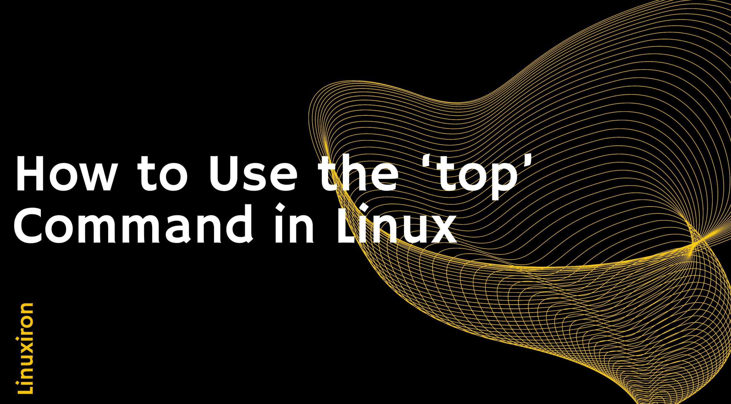 How to Use the ‘top’ Command in Linux