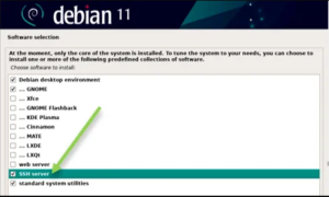  How to install Debian 11 on a VMware workstation