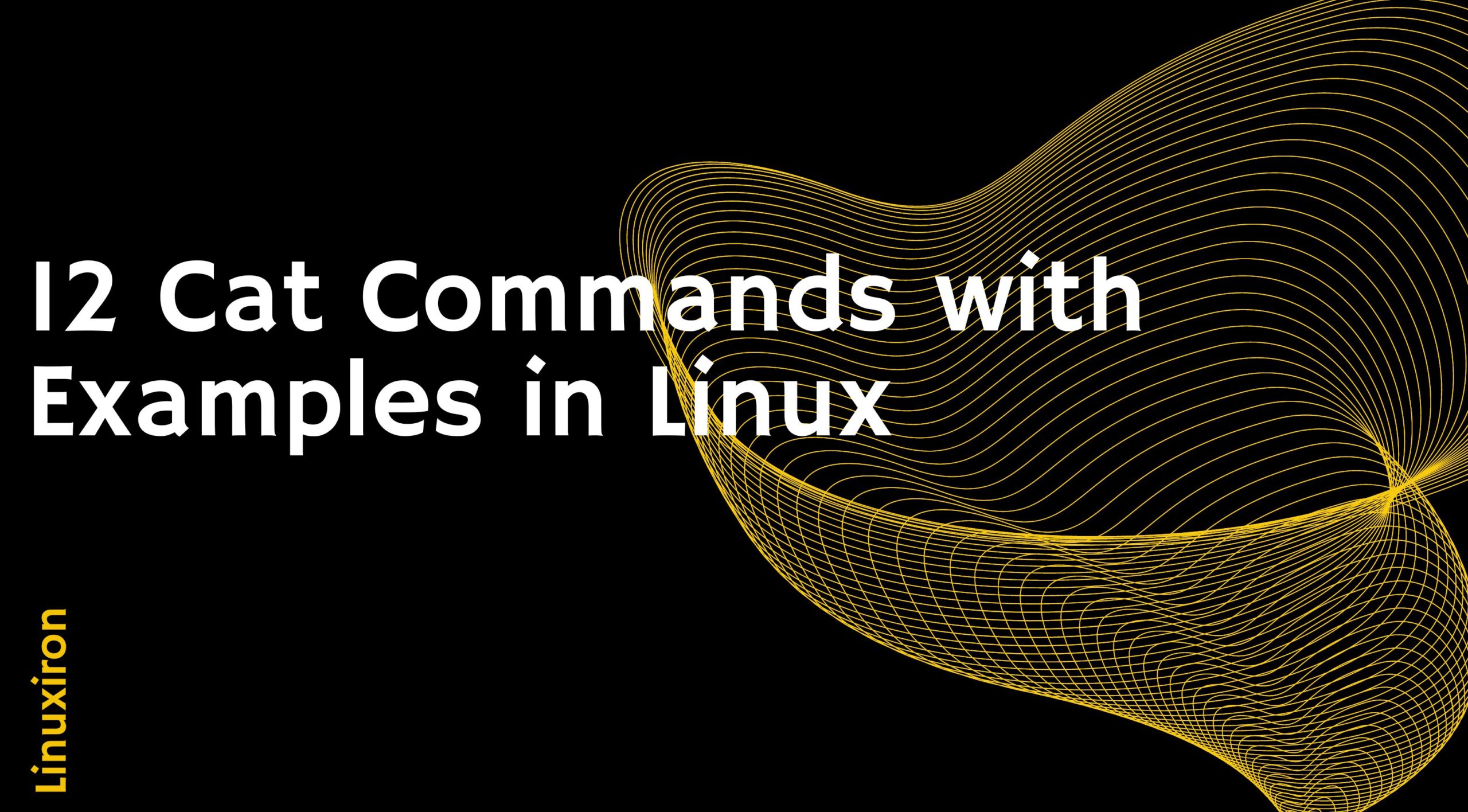 12-cat-commands-in-linux-with-examples-linux-iron