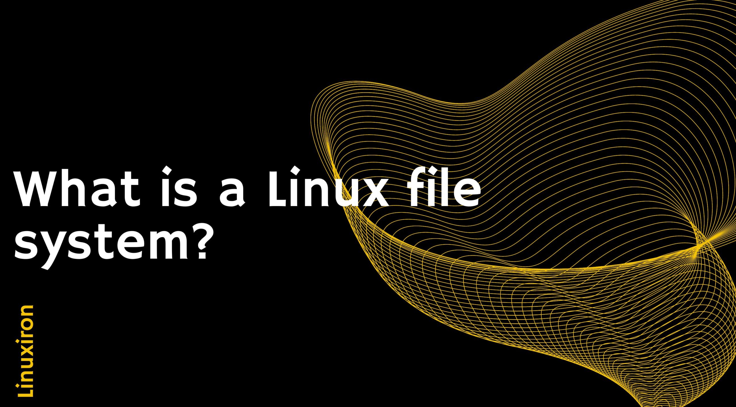 What is a Linux file system?