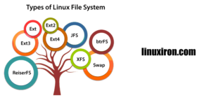 What is a Linux file system